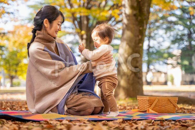 秋の公園で遊ぶ赤ちゃんとママ 赤ちゃん,抱っこ,ピクニックの写真素材
