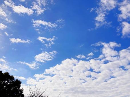 秋空 秋空 秋空,秋,オータムの写真素材