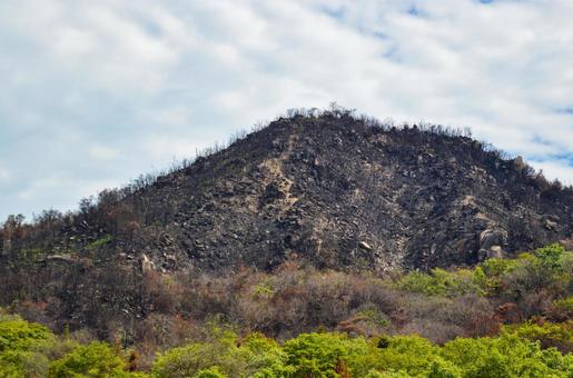 山火事のあと〜岡山市南区 山火事のあと〜岡山市南区 山林火災,林野火災,自然災害の写真素材