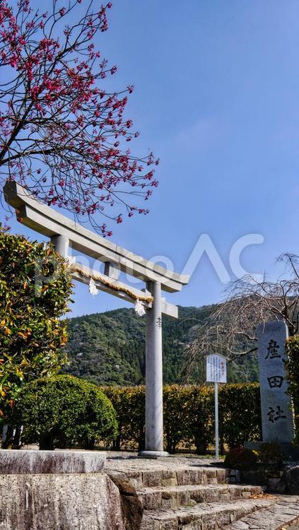 和歌山県にある産田社 和歌山県,産田社,風景の写真素材