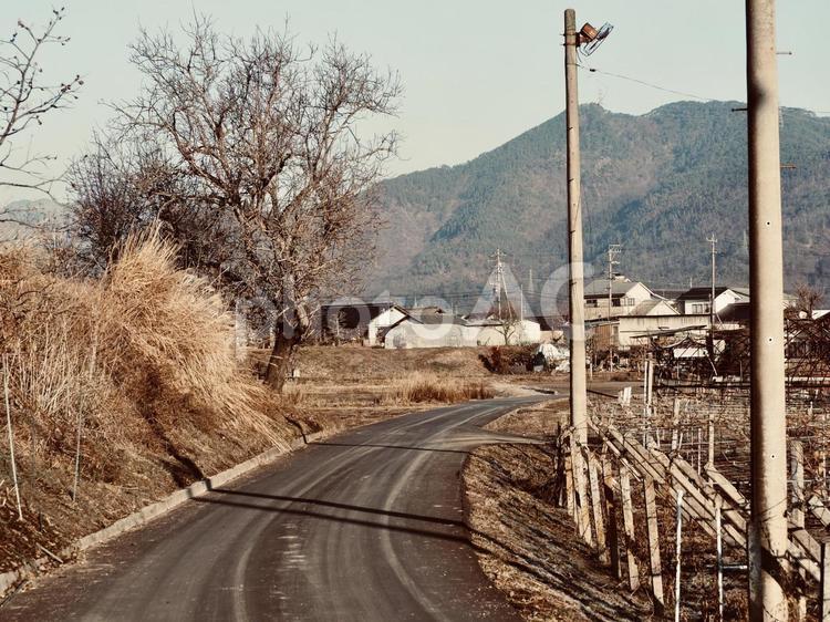 田舎の風景 田舎,道路,農村の写真素材