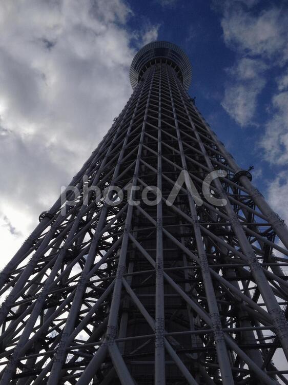 スカイツリーを見上げて スカイツリー,見上げる,空の写真素材