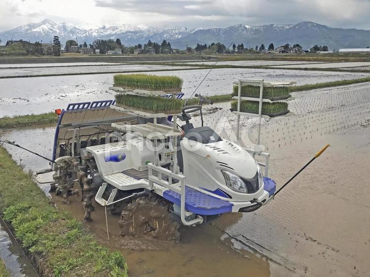 稲作　４６　乗用田植え機 乗用田植え機,田植機,田植え機の写真素材
