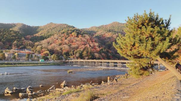 秋の渡月橋 秋の渡月橋 渡月橋,嵐山,京都の写真素材