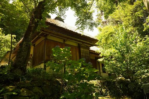 北鎌倉、浄智寺のお茶室 お茶室,静寂,静かの写真素材