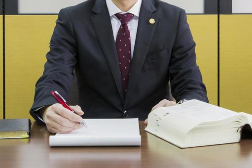 Lawyer for consultation Lawyer for consultation