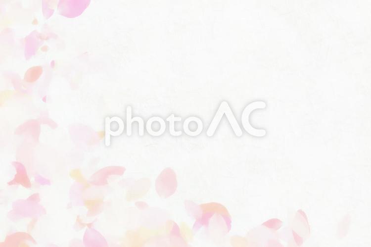 ふんわりとした桜の背景画像 春,4月,フレームの写真素材