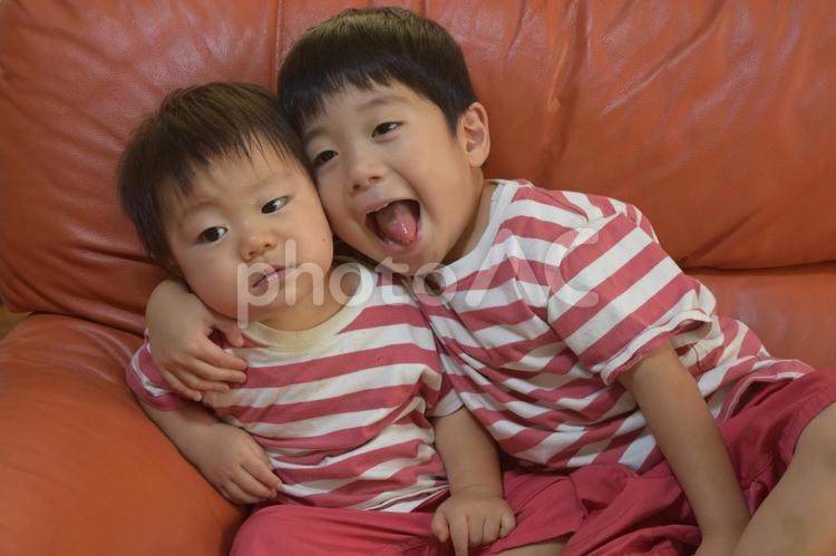オレンジ色のソファーに座る仲良し兄弟 幼児,男,子供の写真素材