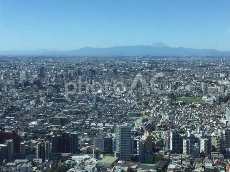 東京の街並みと富士山 東京,都庁,展望台の写真素材