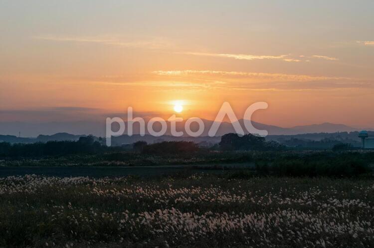 荒川の夕焼け 荒川,夕日,夕焼の写真素材