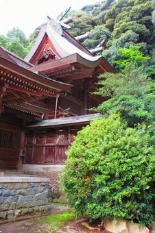 島根県-物部神社-本殿 島根県-物部神社-本殿 物部神社,神社,石見国の写真素材