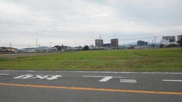 田んぼ-粕屋町 田んぼ-粕屋町の写真