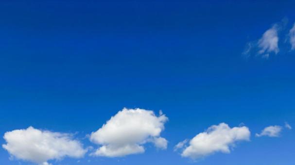 あおぞらの写真