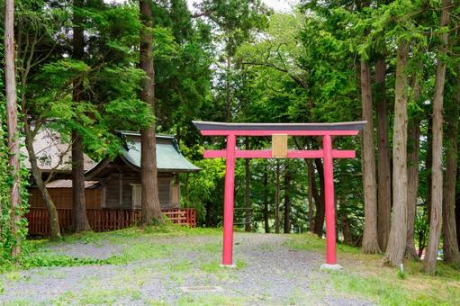 津島本宮神社⑴ 津島本宮神社⑴の写真