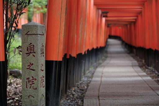京都伏見稲荷大社の千本鳥居 伏見稲荷,千本鳥居,伏見稲荷大社の写真素材