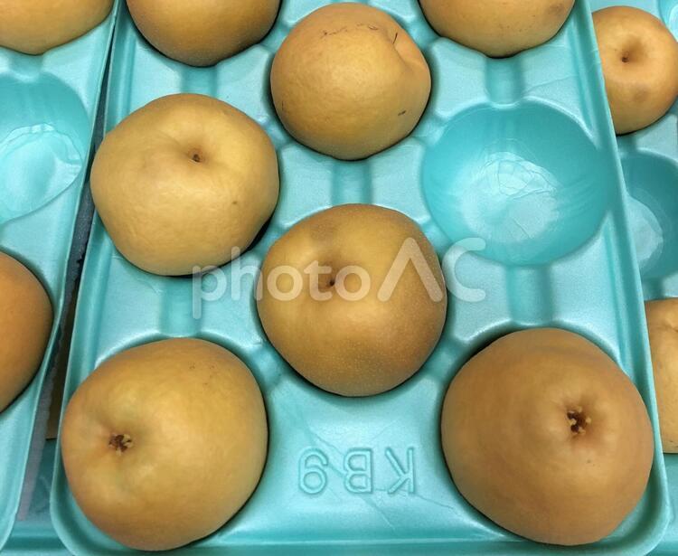 梨　出荷 梨,なし,果実の写真素材
