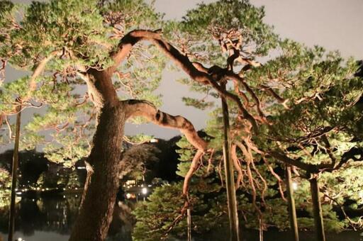 六義園 六義園の写真