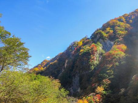 日光の紅葉 華厳渓谷,華厳の滝,日光の写真素材
