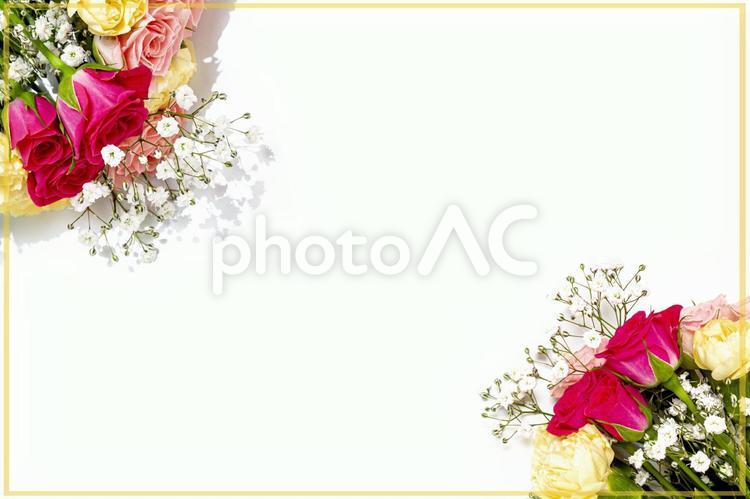 華やかな印象の3種花束素材 花,赤,バラの写真素材