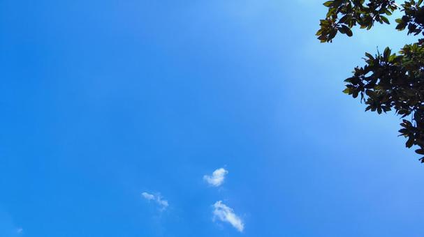 空 空の写真