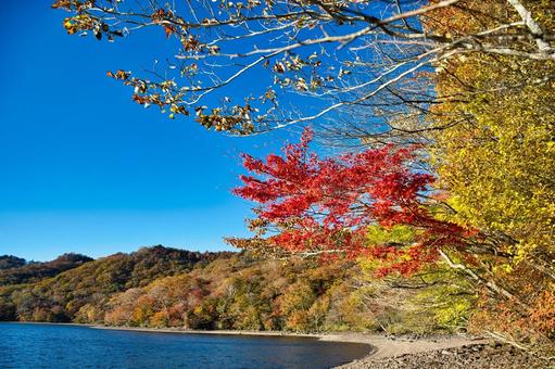 大沼晩秋風景 風景,青空,晴れの写真素材