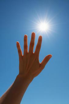 血潮は見えん。の写真