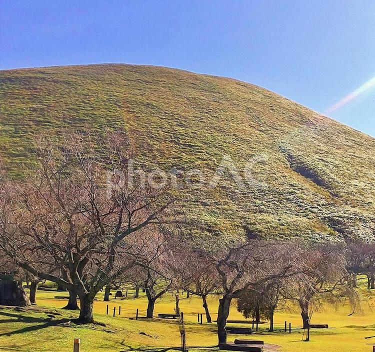 晩秋の光と影　大室山 大室山,晩秋,秋空の写真素材