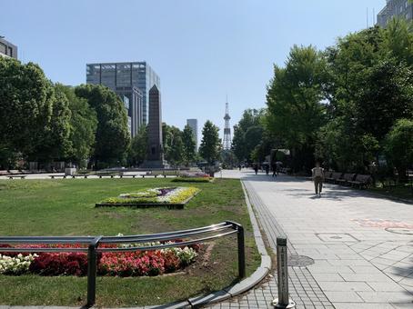 7月初旬の札幌大通公園西5丁目 7月初旬の札幌大通公園西5丁目 札幌,大通公園,公園の写真素材