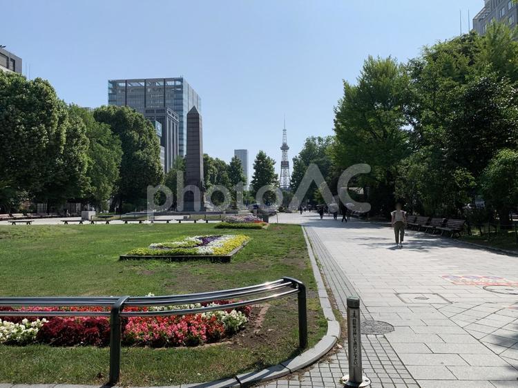 7月初旬の札幌大通公園西5丁目 札幌,大通公園,公園の写真素材