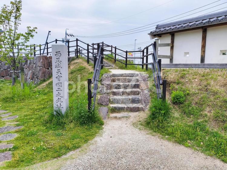 西尾市歴史公園　天守台への石段と土塀 西尾市歴史公園,天守閣二之丸址,西尾城の写真素材