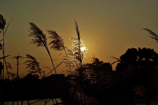 黄金色の冬の夕景 夕景,たそがれ,黄金色の写真素材