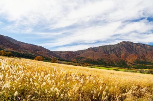 秋の鬼首⑼ 秋,紅葉,ススキの写真素材