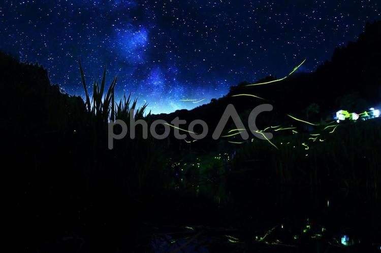 ホタル舞う赤川と星空・天の川 ホタル,星空,天の川の写真素材