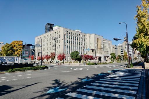 大阪府庁大手前庁舎本館 大阪府庁,大手前庁舎,官公庁の写真素材