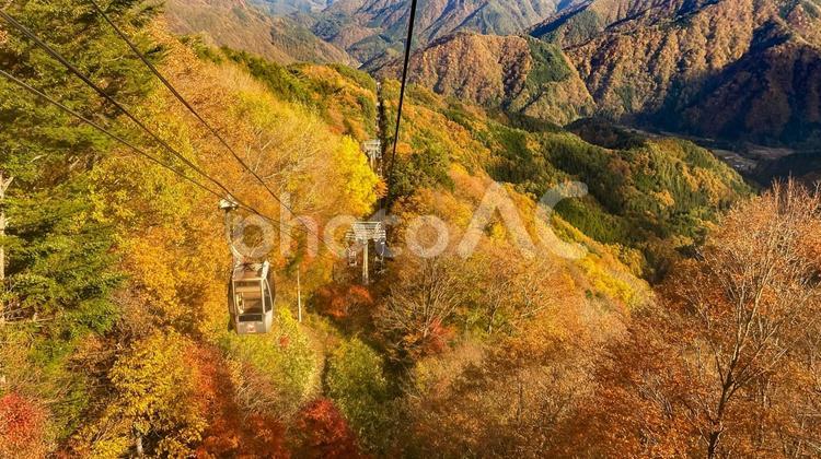 山を越えて 紅葉,秋,ロープウェイの写真素材