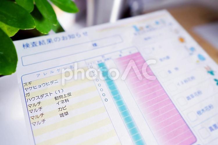 花粉症、アレルギー検査の紙１ 花粉症,アレルギー,検査の写真素材