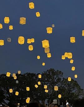114_七夕の夜に舞うランタン 114_七夕の夜に舞うランタン ランタン,七夕,ランタンフェスティバルの写真素材