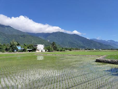 台東 関山の風景 台東 関山の風景 関山,台東,關山の写真素材