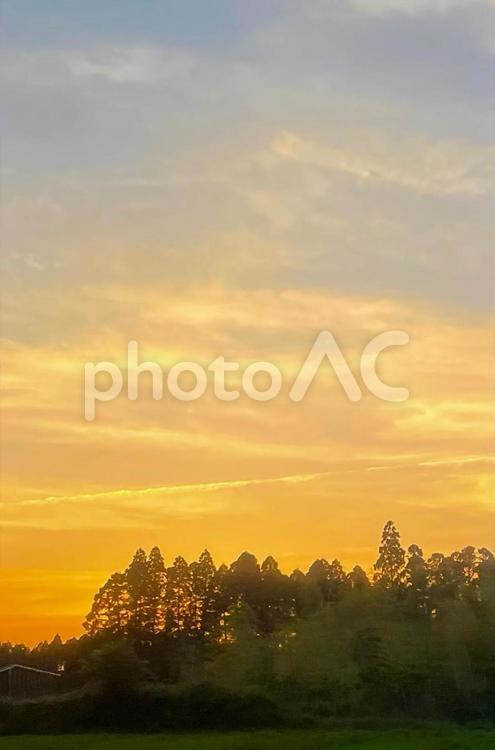 輝く黄昏と木立のシルエット 黄昏,夕日,たそがれ時の写真素材