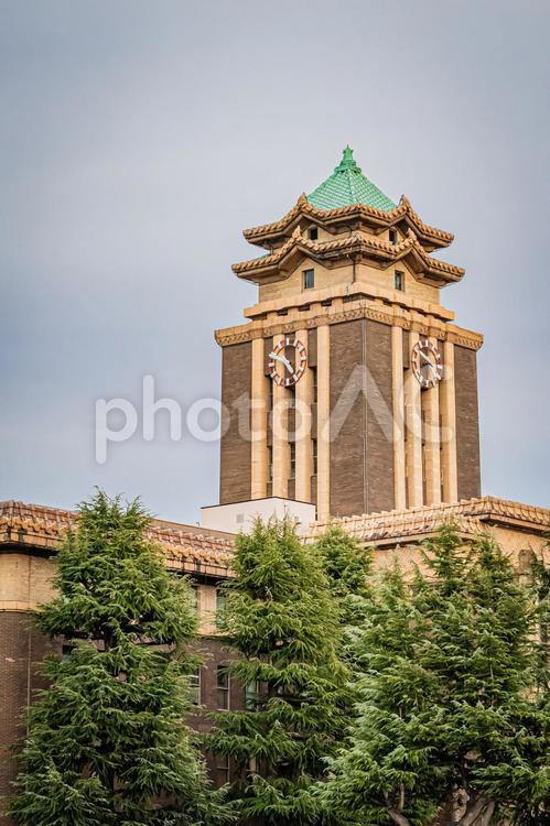 名古屋　名古屋市役所の風景 名古屋,愛知,愛知県の写真素材