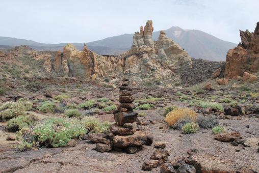 【Spain】Teneriffa 【Spain】Teneriffa スペイン,テネリフェ島,幸運の島の写真素材