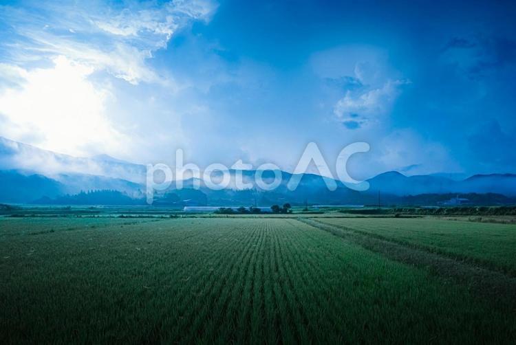 ★＜五島市岐宿町＞朝霧の田園の風景 夜明け,霞,霧の写真素材