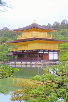 【京都】世界遺産金閣寺 【京都】世界遺産金閣寺 金閣寺,京都,寺社仏閣の写真素材