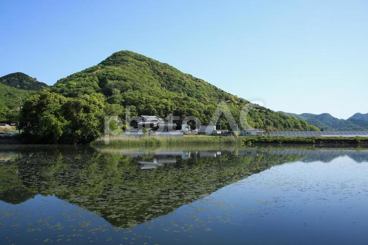 兵庫県姫路市　西池の風景 州賓神社,神社,樹木の写真素材