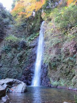 養老の滝(紅葉シーズン) 養老の滝(紅葉シーズン) 養老の滝,滝,紅葉の写真素材