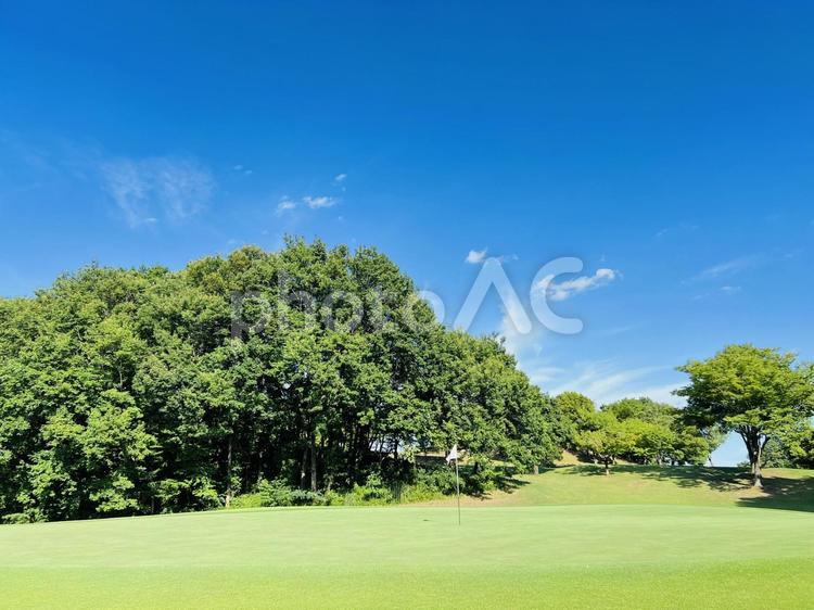 ゴルフグリーンと青空の美しい風景 ゴルフ,おおむらさきゴルフ俱楽部,ゴルフ場の写真素材