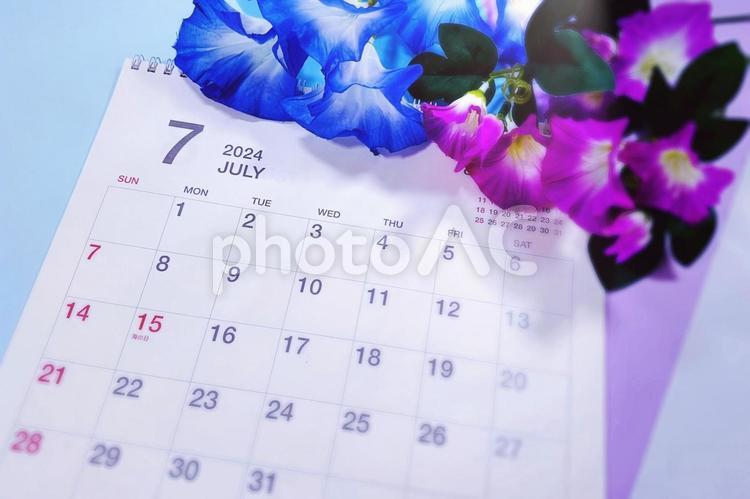 2024年7月カレンダー、青と紫の朝顔２ 7月,カレンダー,2024の写真素材