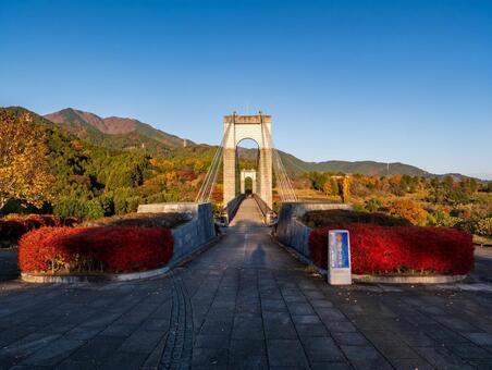 晩秋の秦野戸川公園の風の吊り橋 丹沢,晩秋,大倉の写真素材