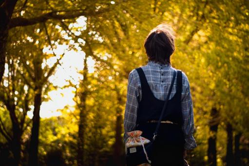 <素材>旅行でイチョウ並木を散策する女性 <素材>旅行でイチョウ並木を散策する女性 女性,紅葉,イチョウの写真素材