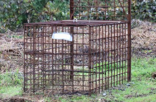 箱罠（熊罠）熊対策 箱罠,熊,クマの写真素材